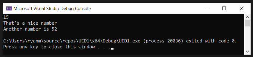A screenshot of the visual studio terminal window